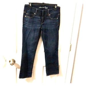 American Eagle Artist Crop pants